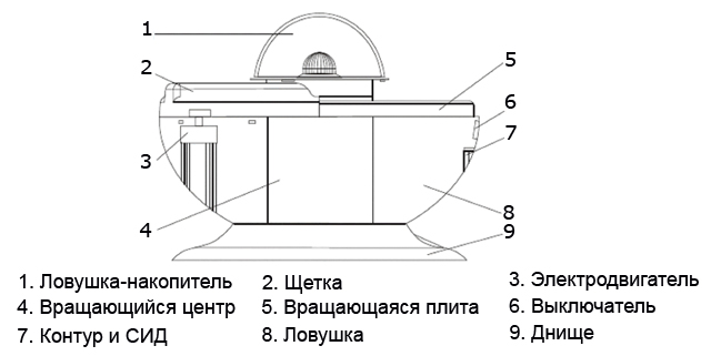 Мухоловка Мухоловка