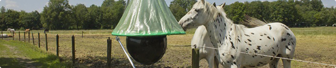 Ловушка для слепней H-Trap- прекрасное средство для решения 
  проблемы нападения кровососущих на домашний скот на фермах и конюшнях
