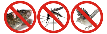 Какие народные средства защитят от комаров, мошек, слепней и овода?
